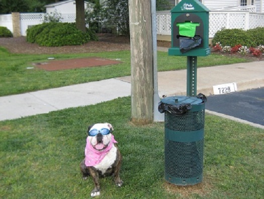 Pet Friendly Pet Friendly