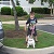 Pet Friendly